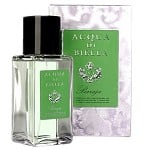 Baraja Unisex fragrance by Acqua Di Biella