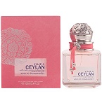 Viaje a Ceylan  perfume for Women by Adolfo Dominguez 2014