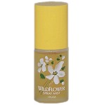 Wildflower perfume for Women by Alyssa Ashley