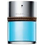 Wildblue cologne for Men by Banana Republic