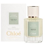 Atelier des Fleurs Narcissus Poeticus  perfume for Women by Chloe 2021