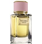 Velvet Love perfume for Women by Dolce & Gabbana