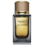 Velvet Tender Oud Unisex fragrance by Dolce & Gabbana