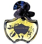 Shalimar EDP 2009 perfume for Women by Guerlain