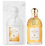 Aqua Allegoria Harvest Mandarine Basilic  perfume for Women by Guerlain 2023