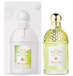 Aqua Allegoria Harvest Nerolia Vetiver  perfume for Women by Guerlain 2023