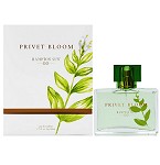 Privet Bloom perfume for Women by Hampton Sun