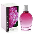 Paeonia perfume for Women by L'Occitane en Provence