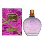 Delice des Fleurs - Rose & Violette perfume for Women by L'Occitane en Provence