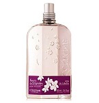 Fleurs de Brignoles - Plum Blossom perfume for Women by L'Occitane en Provence