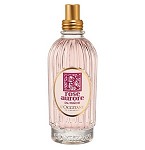Rose Aurore Eau Fraiche perfume for Women by L'Occitane en Provence