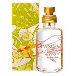 Vanilla Vera Cruz perfume for Women by Pacifica