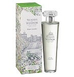 White Jasmine perfume for Women by Woods of Windsor