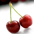 wild cherry
