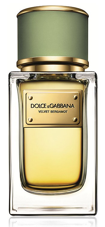 Velvet Bergamot Cologne for Men by Dolce & Gabbana - PerfumeMaster.org
