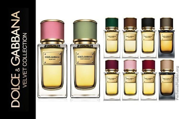 Latest Fragrance News Dolce Gabbana Velvet Rose Velvet Bergamot ...