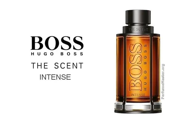 Hugo Boss The Scent Intense Fragrance